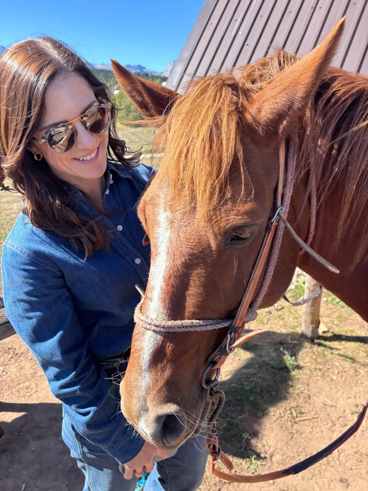 Guest beside a chestnut horse in the Montenegro countryside