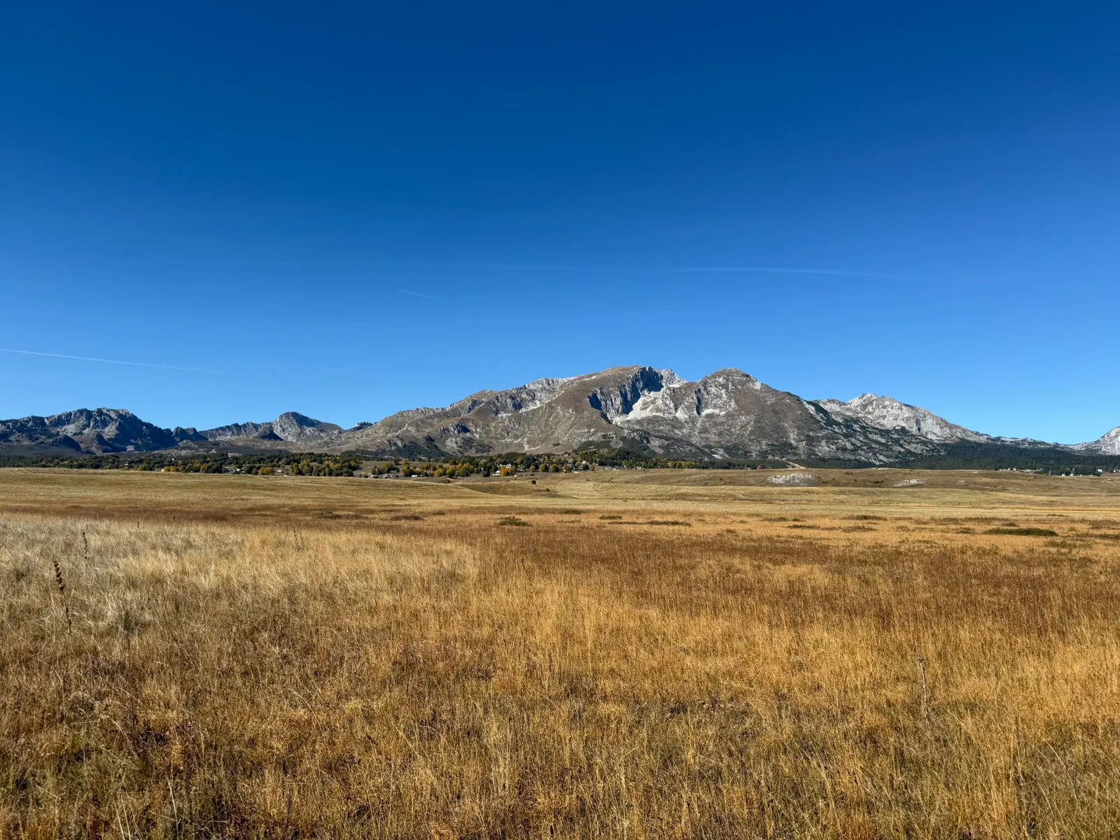 Golden pasture below a rocky mountain ridge under clear blue skies