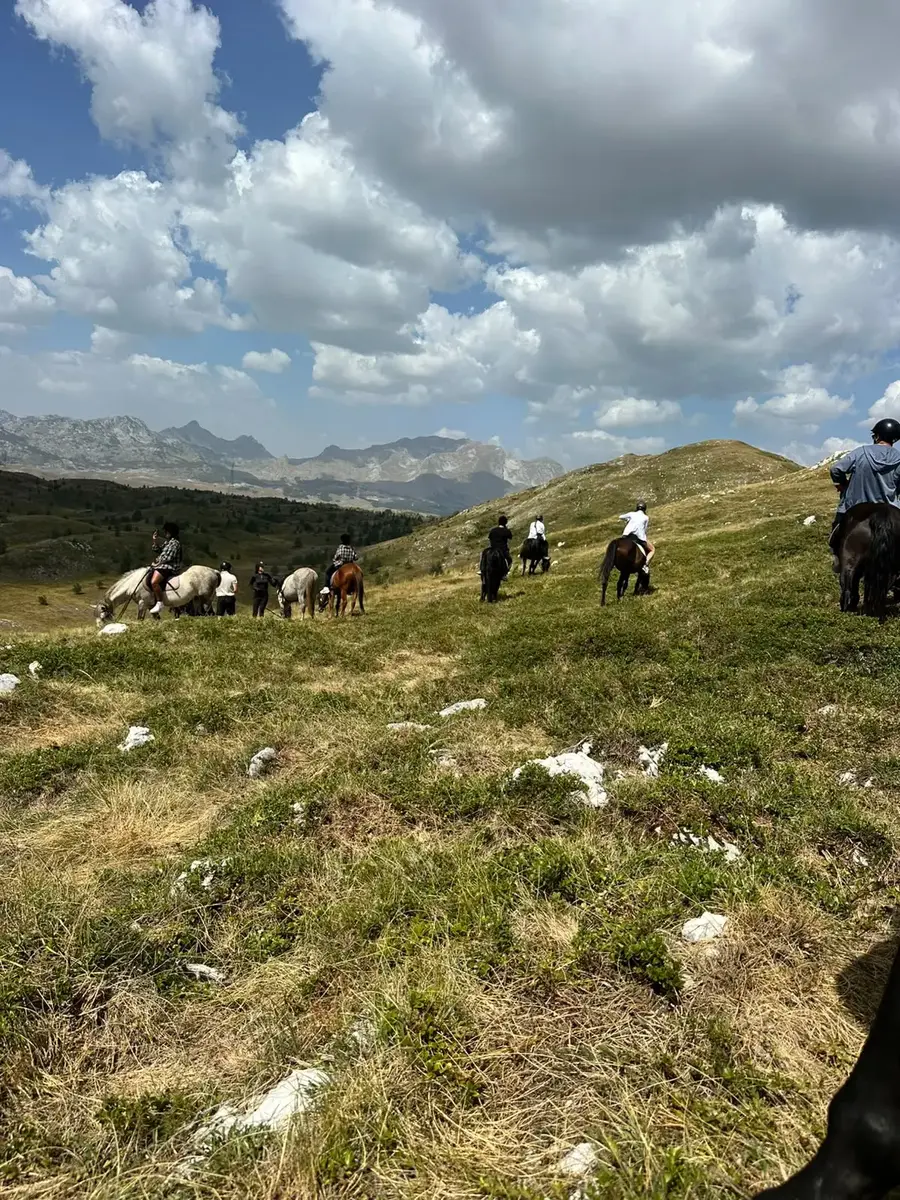 Horse riders travelling across a high mountain pasture near Žabljak