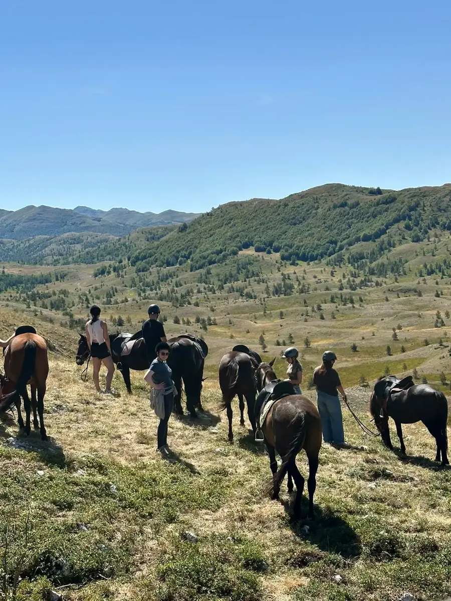 Guided horseback group descending through the mountains near Žabljak