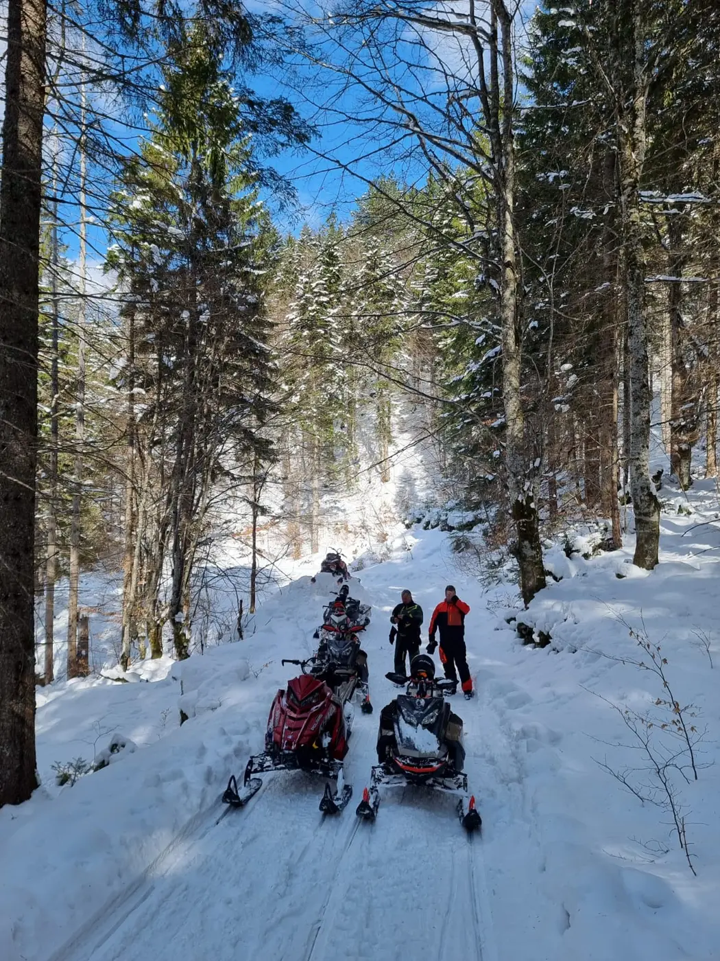 Snowmobiles travelling through a snow-covered forest near Durmitor
